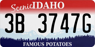 ID license plate 3B3747G