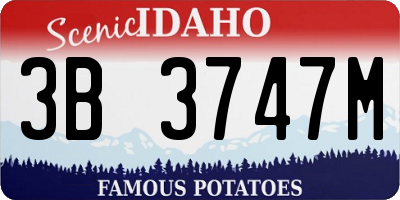 ID license plate 3B3747M