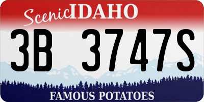 ID license plate 3B3747S