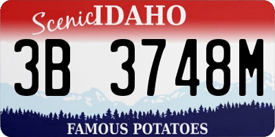 ID license plate 3B3748M