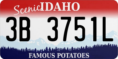 ID license plate 3B3751L