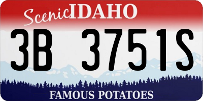 ID license plate 3B3751S