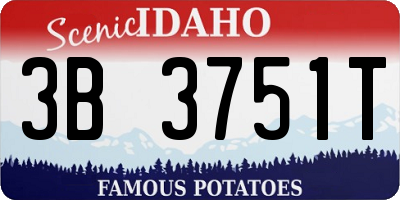 ID license plate 3B3751T