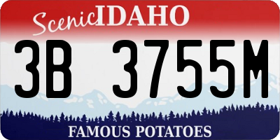 ID license plate 3B3755M
