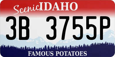 ID license plate 3B3755P