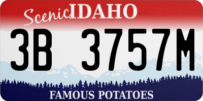 ID license plate 3B3757M