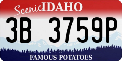 ID license plate 3B3759P