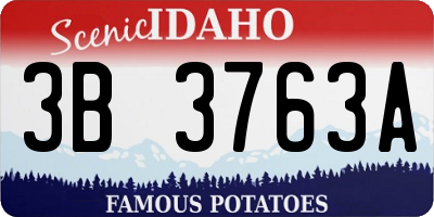 ID license plate 3B3763A