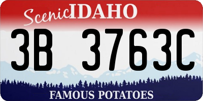 ID license plate 3B3763C