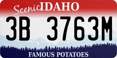 ID license plate 3B3763M