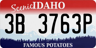 ID license plate 3B3763P