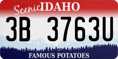 ID license plate 3B3763U