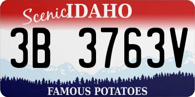 ID license plate 3B3763V