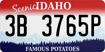 ID license plate 3B3765P