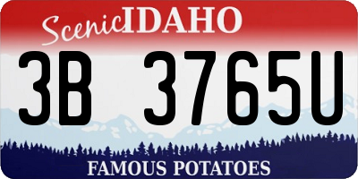 ID license plate 3B3765U