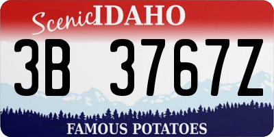 ID license plate 3B3767Z