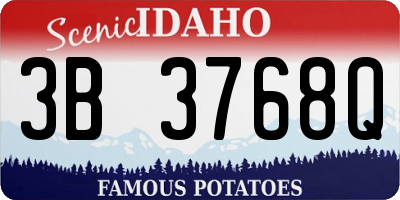 ID license plate 3B3768Q