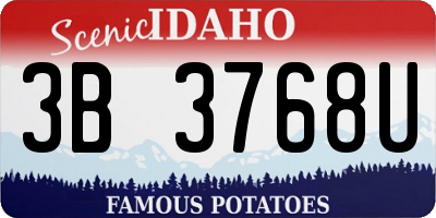 ID license plate 3B3768U