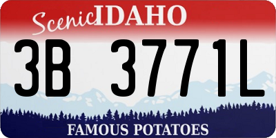 ID license plate 3B3771L