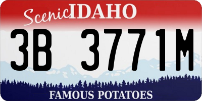 ID license plate 3B3771M