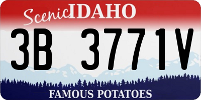 ID license plate 3B3771V