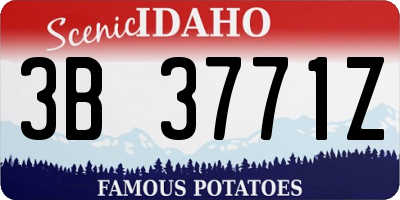 ID license plate 3B3771Z