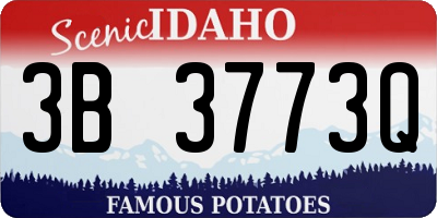 ID license plate 3B3773Q