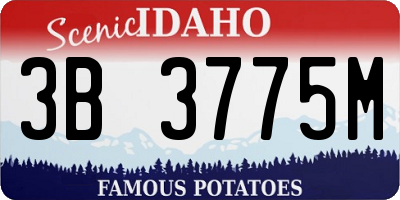 ID license plate 3B3775M