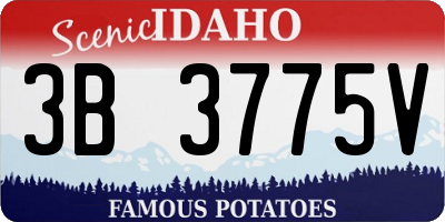 ID license plate 3B3775V