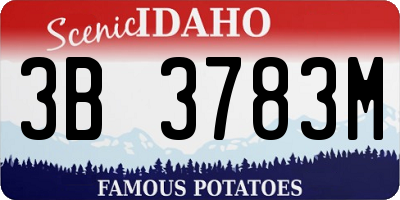 ID license plate 3B3783M