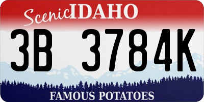 ID license plate 3B3784K