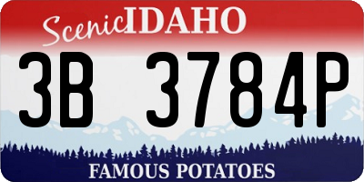 ID license plate 3B3784P