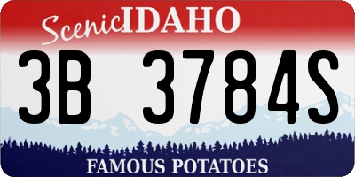 ID license plate 3B3784S