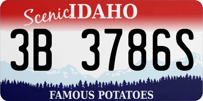 ID license plate 3B3786S