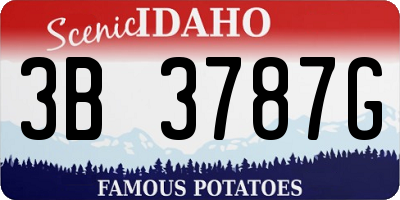 ID license plate 3B3787G