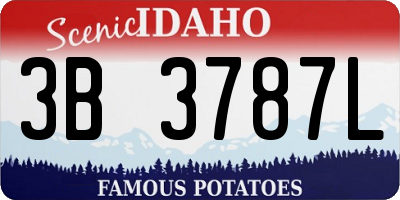 ID license plate 3B3787L