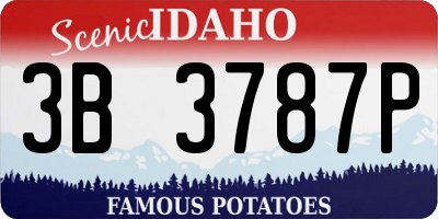 ID license plate 3B3787P