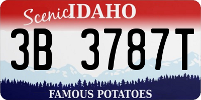ID license plate 3B3787T