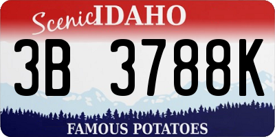 ID license plate 3B3788K