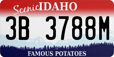 ID license plate 3B3788M