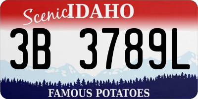 ID license plate 3B3789L