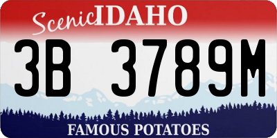 ID license plate 3B3789M