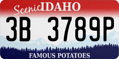 ID license plate 3B3789P