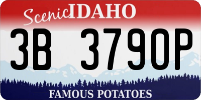 ID license plate 3B3790P