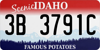 ID license plate 3B3791C