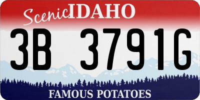 ID license plate 3B3791G