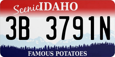ID license plate 3B3791N