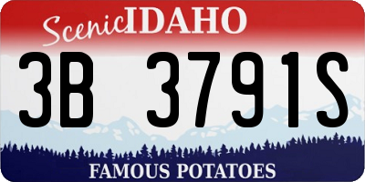 ID license plate 3B3791S
