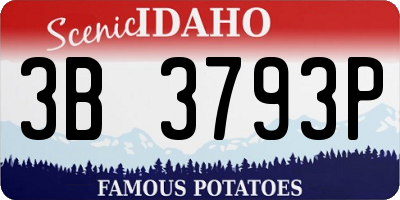 ID license plate 3B3793P
