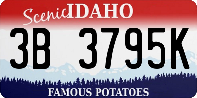ID license plate 3B3795K
